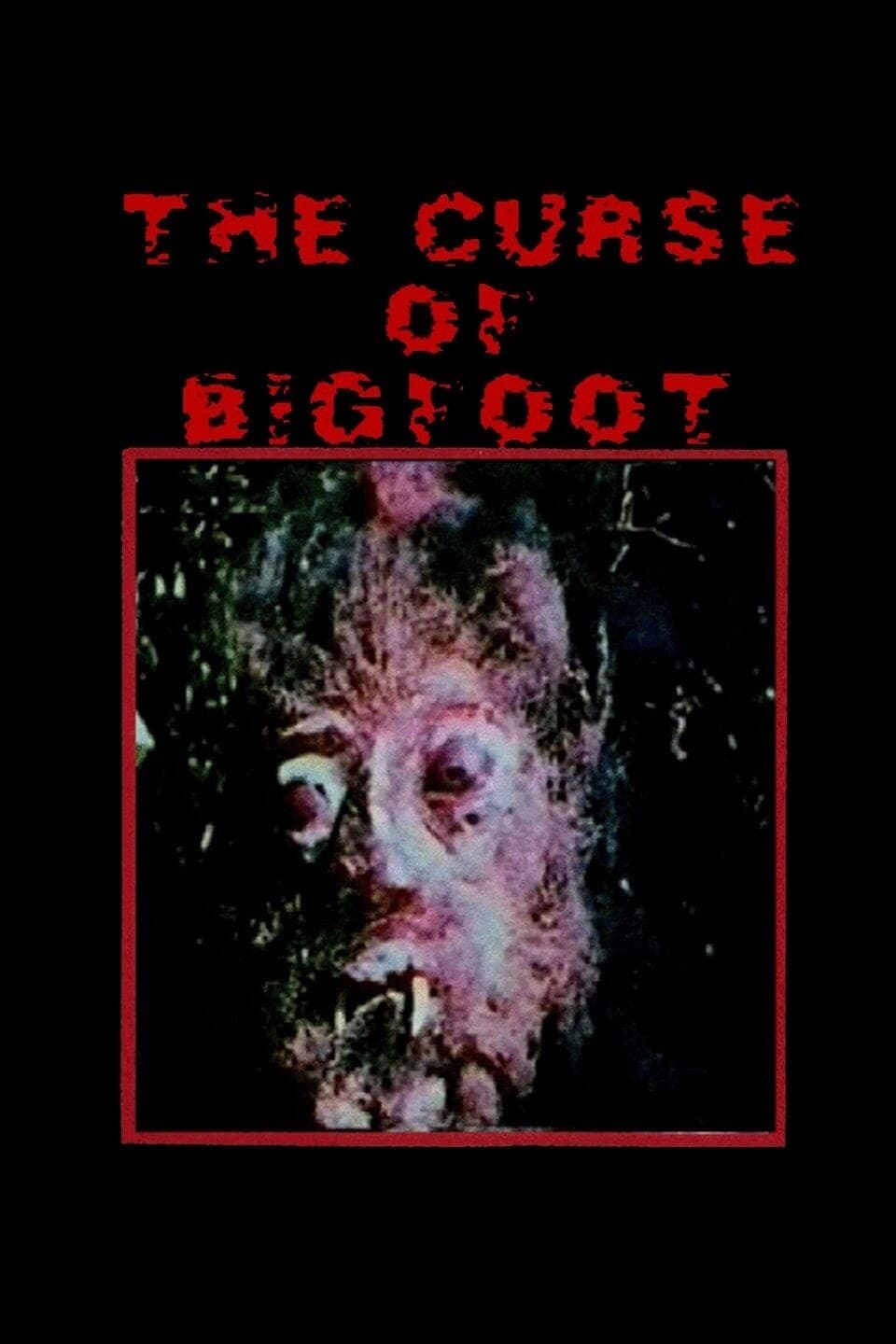 Curse of Bigfoot | Curse of Bigfoot