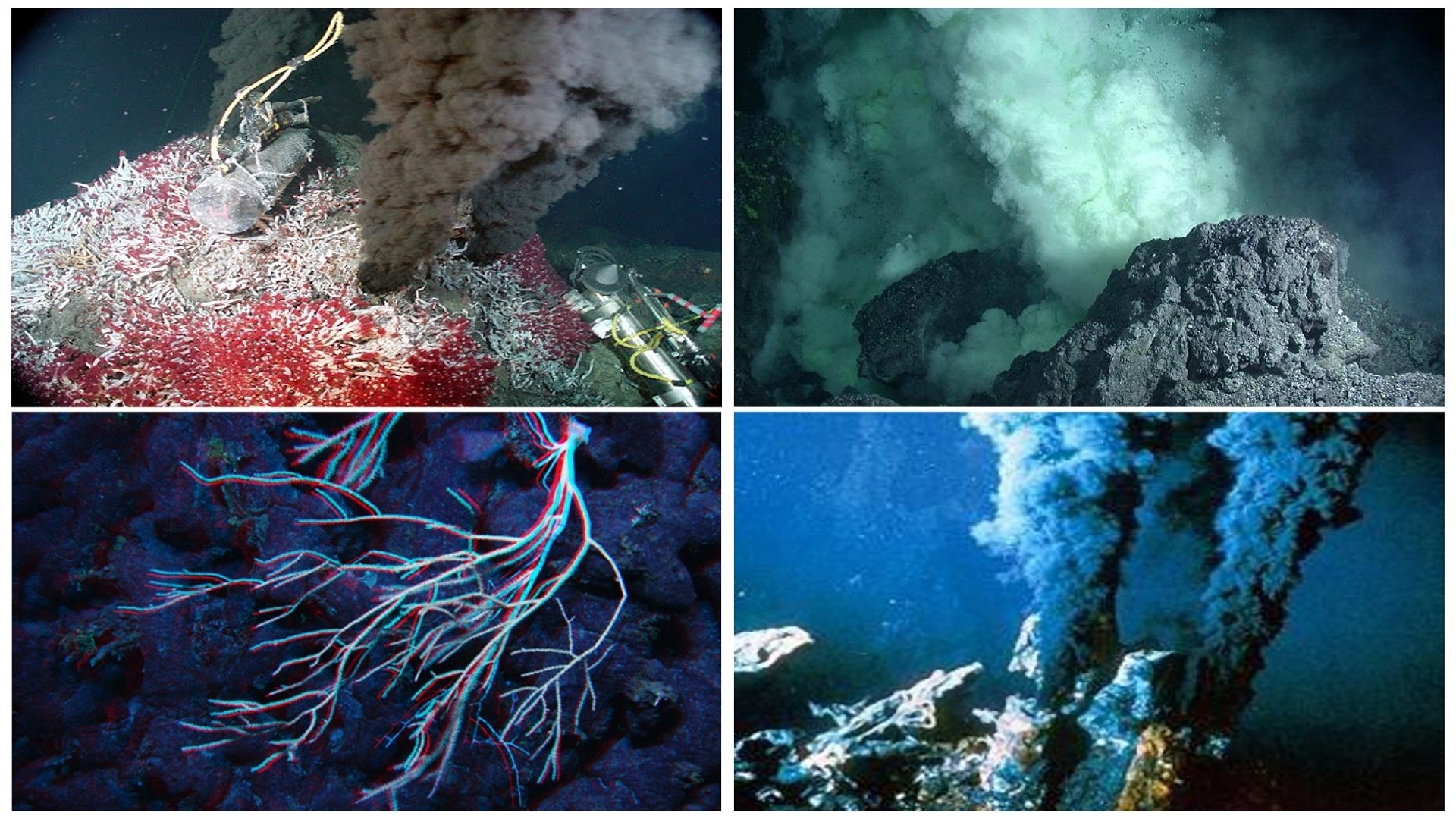 Volcanoes of the Deep Sea|Volcanoes of the Deep Sea