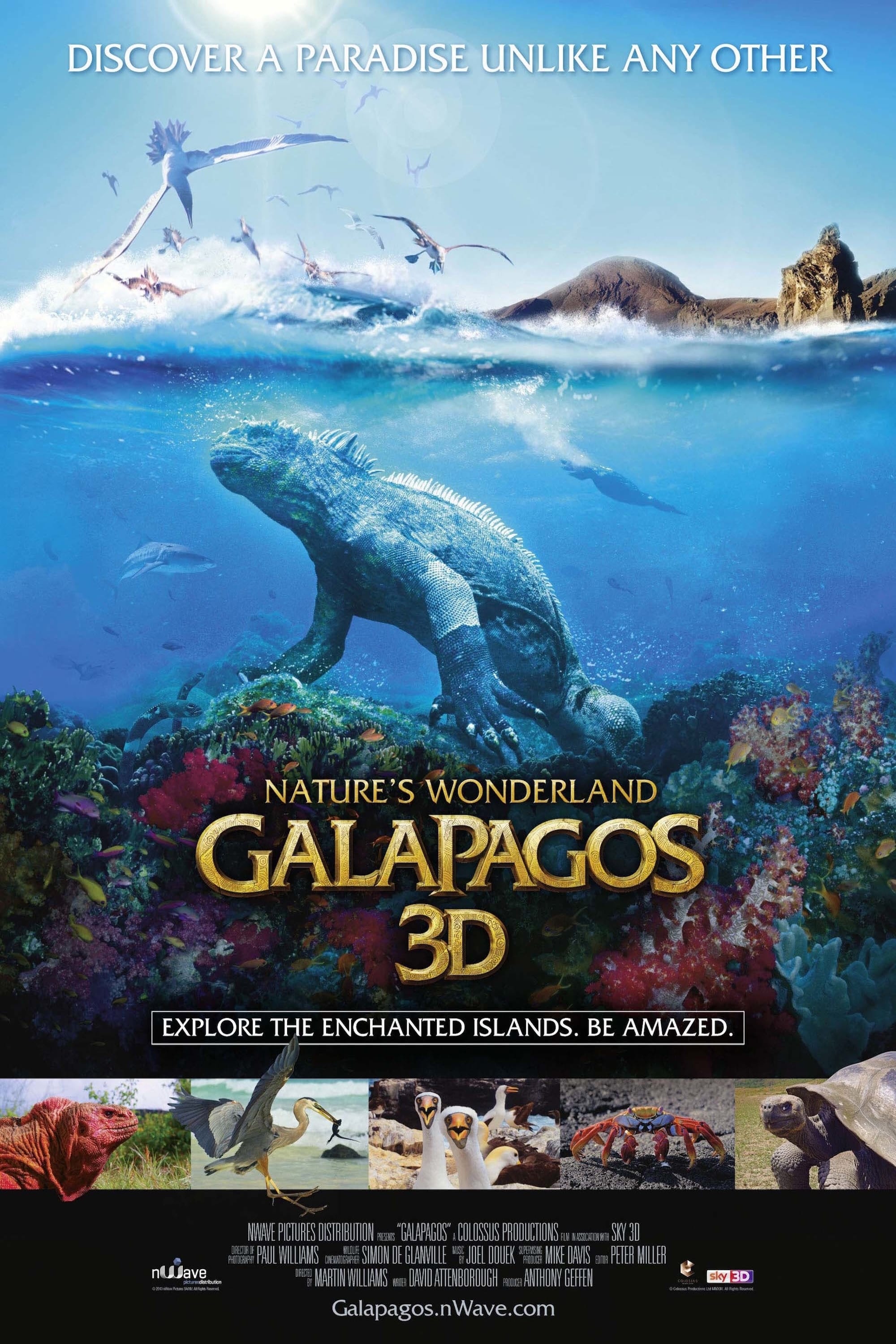 Galapagos 3D: Nature's Wonderland | Galapagos 3D: Nature's Wonderland