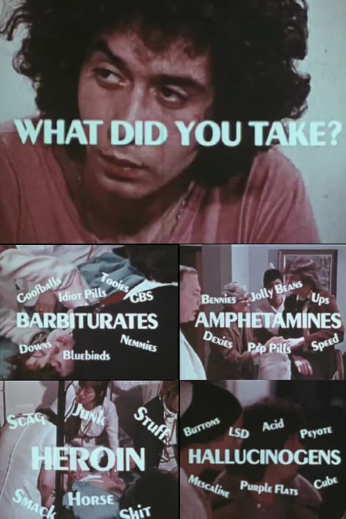 What Did You Take? | What Did You Take?