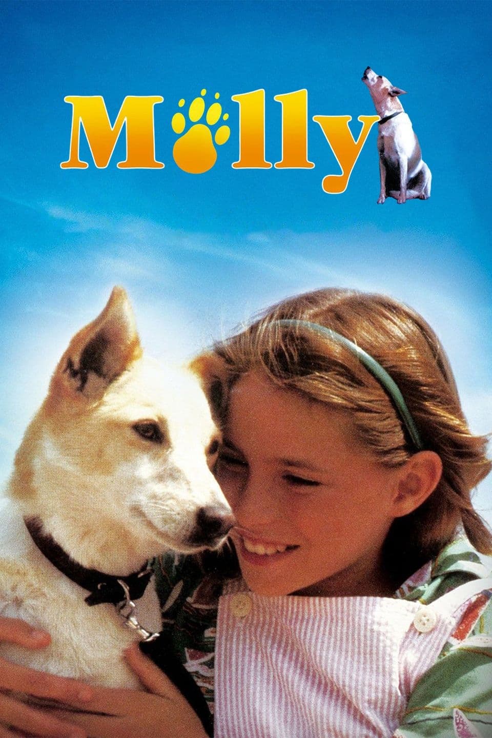 Molly | Molly