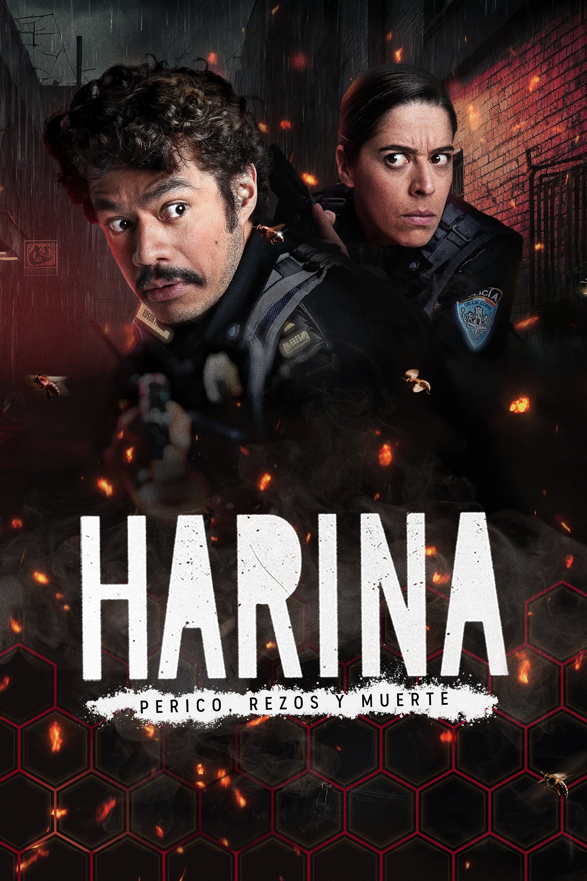 Harina | Harina