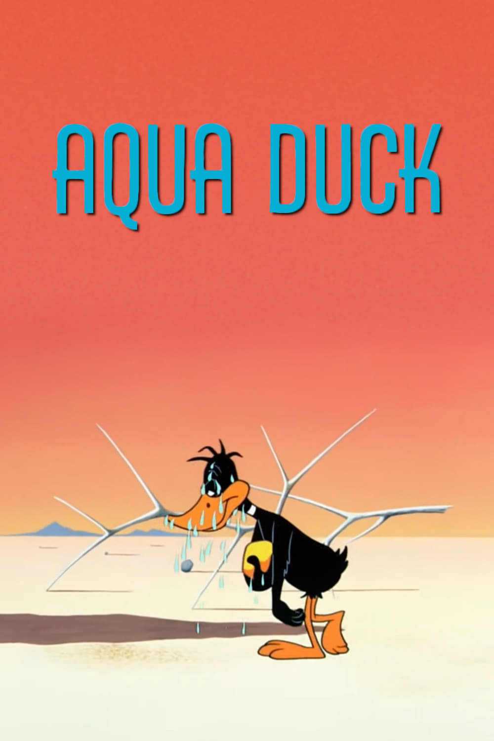 Aqua Duck | Aqua Duck