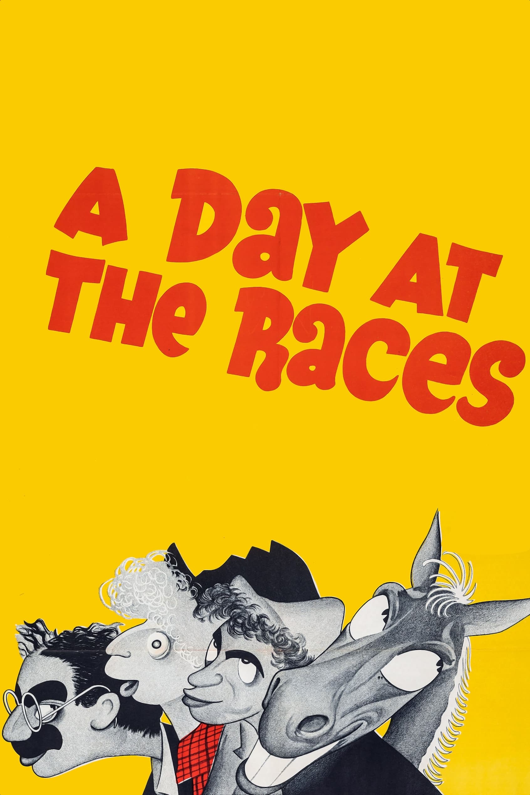 A Day at the Races | A Day at the Races