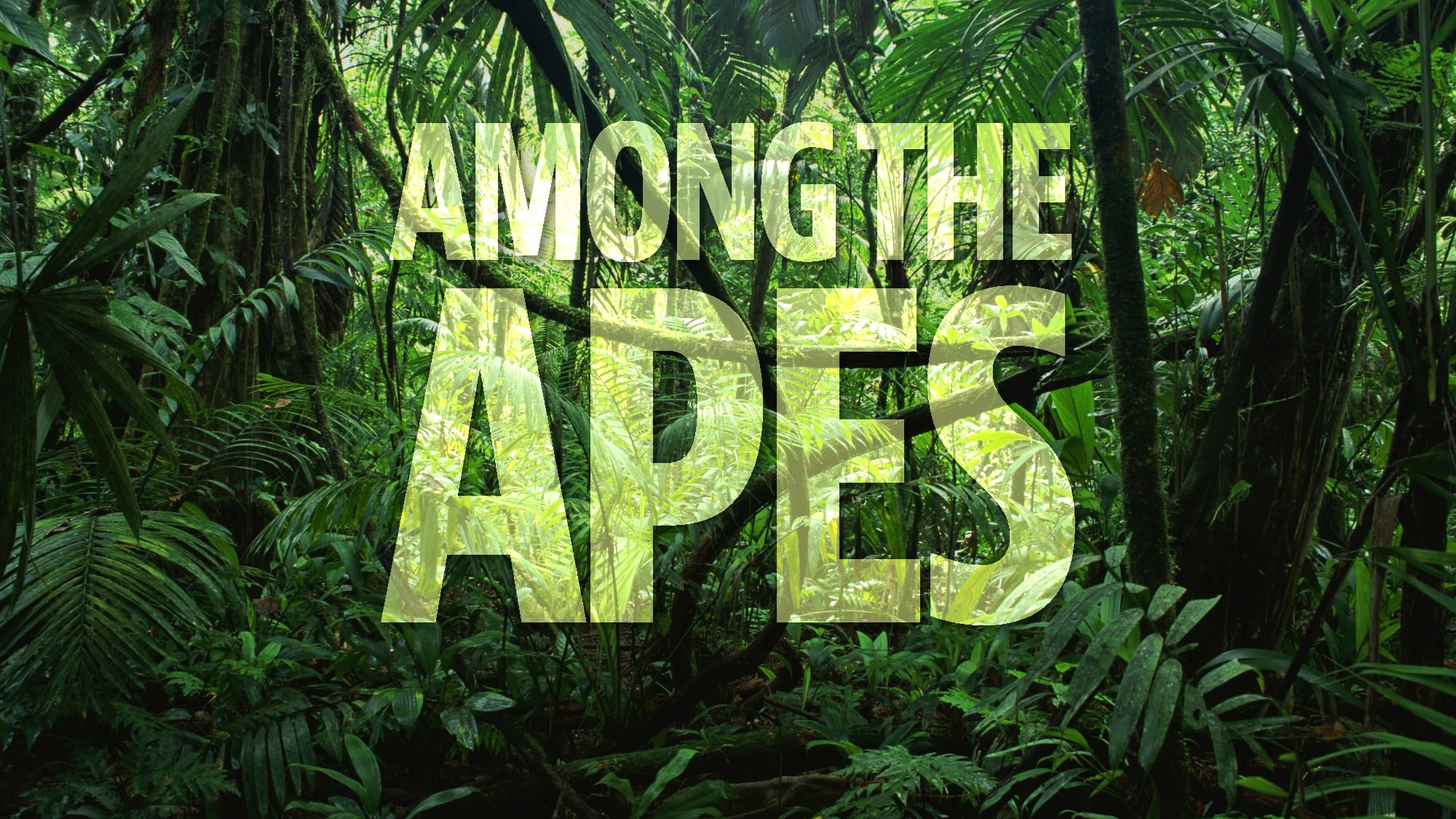 Among the Apes|Among the Apes