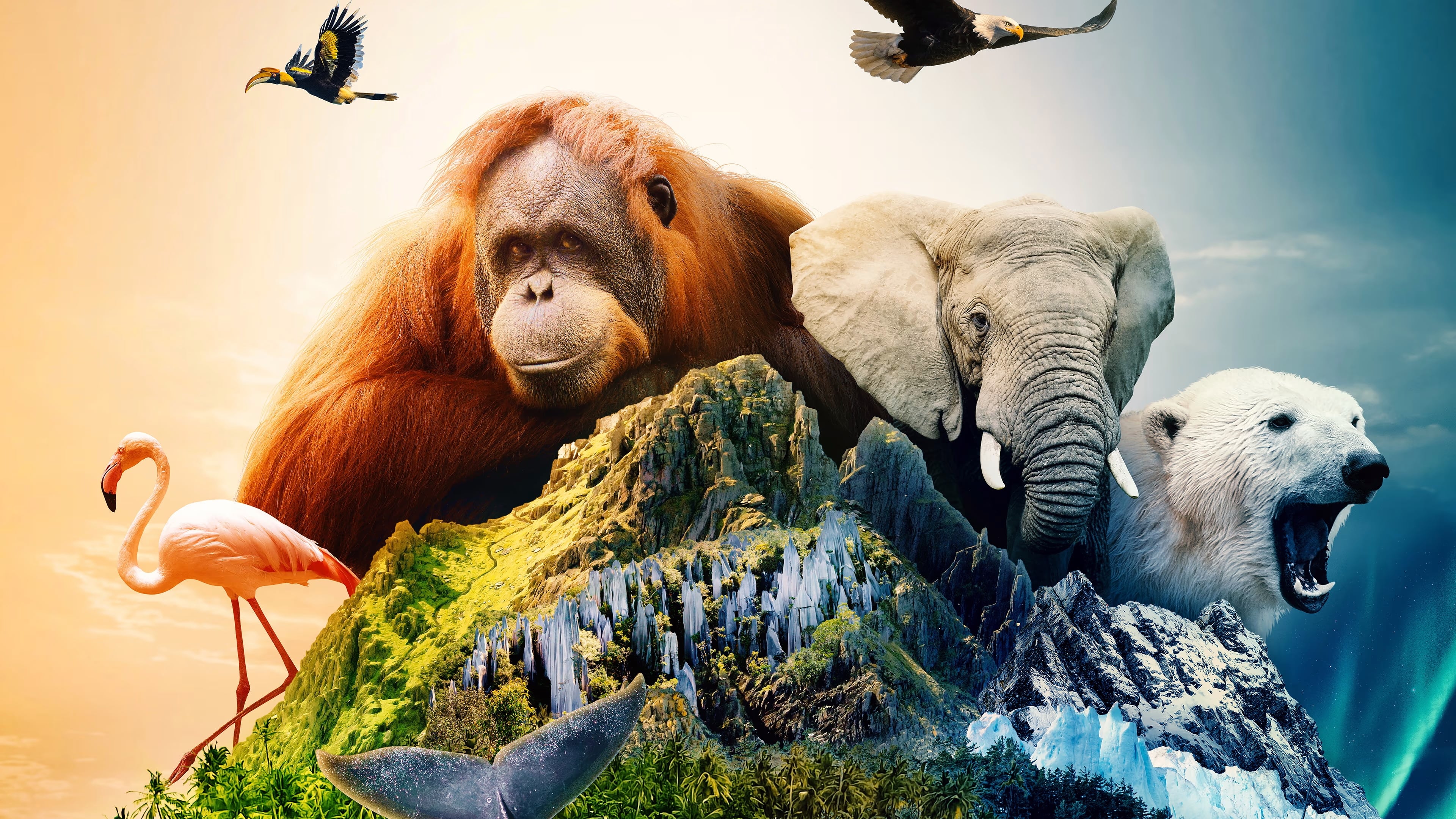 Islands: Nature's Wild Laboratories|Islands: Nature's Wild Laboratories