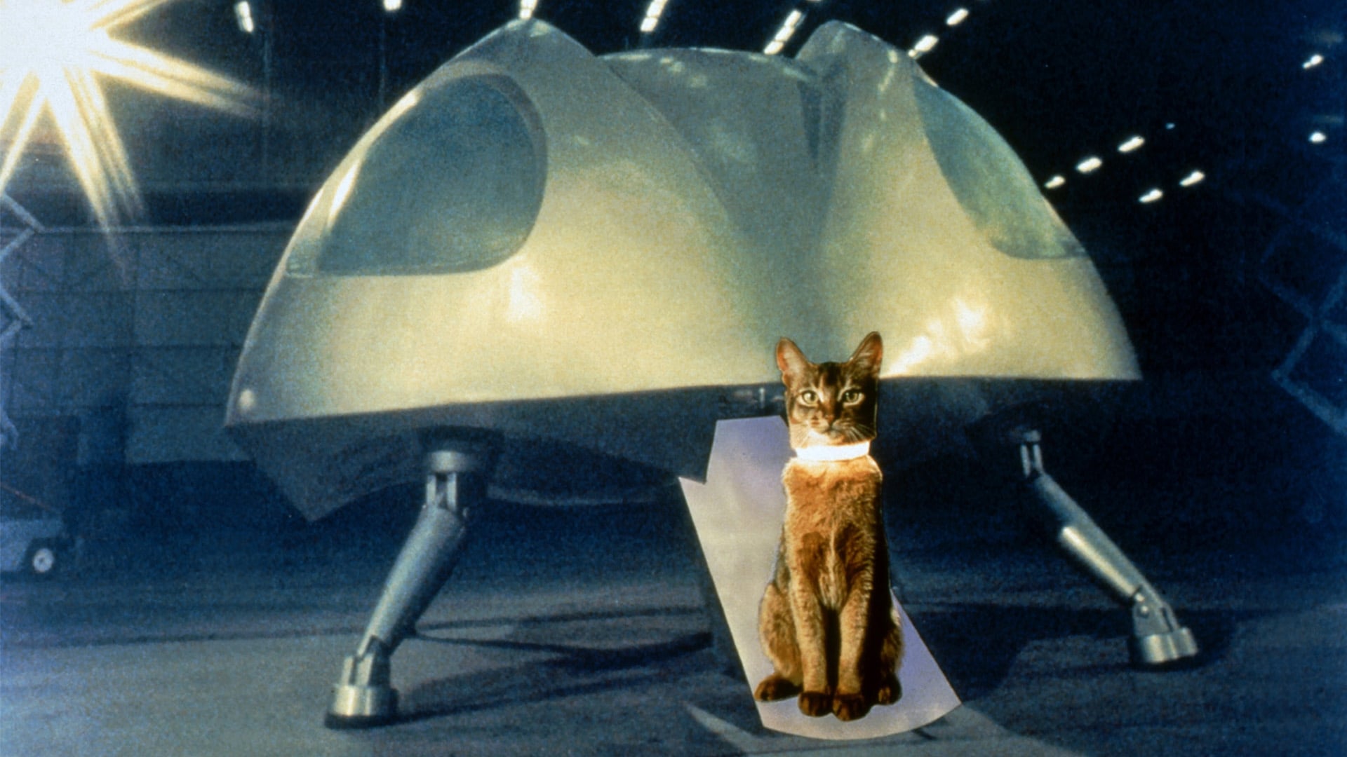 The Cat from Outer Space|The Cat from Outer Space