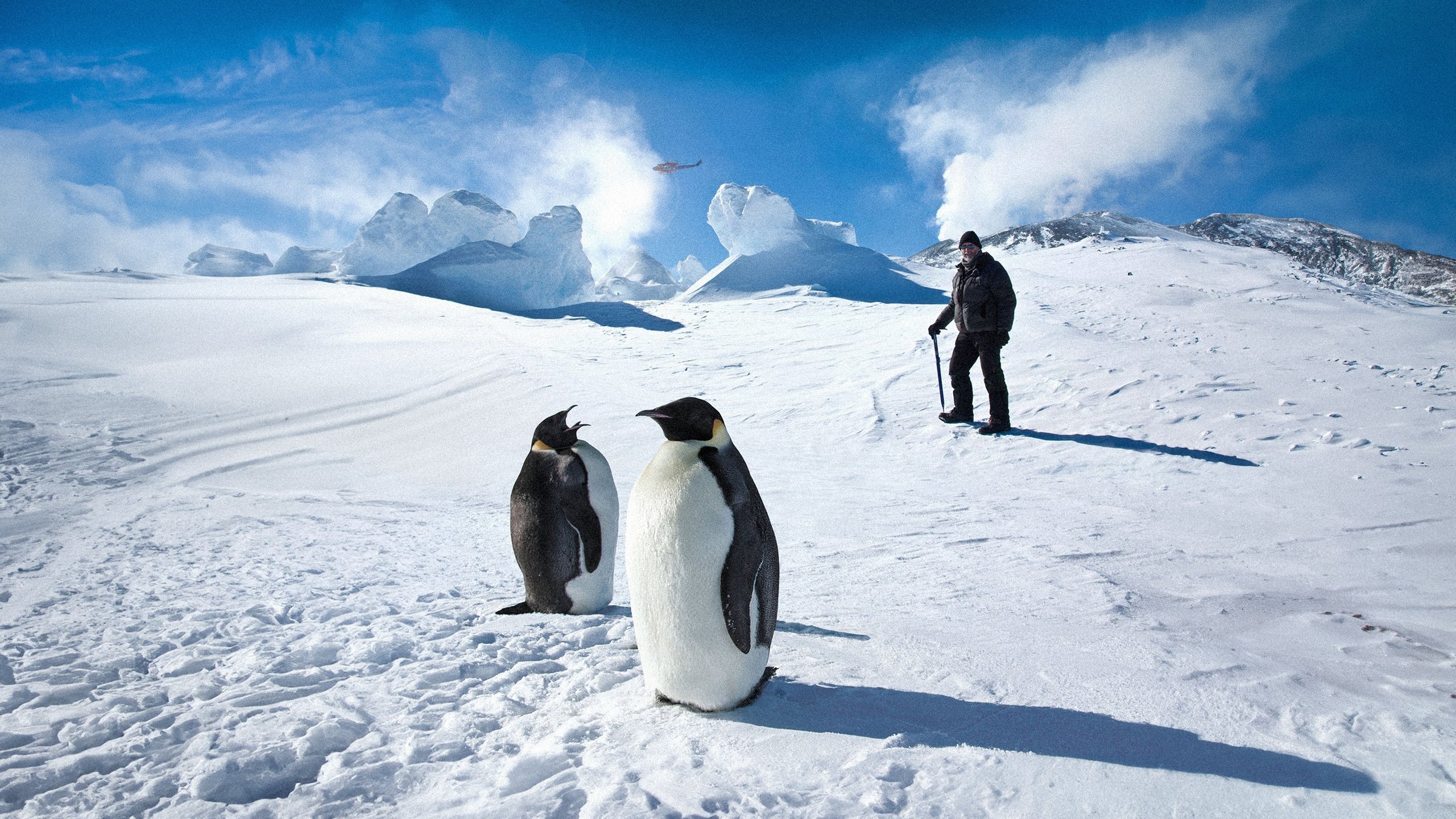 Antarctica: A Year on Ice|Antarctica: A Year on Ice