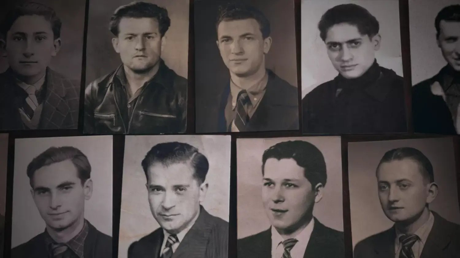 S.T.O. Les oubliés de la victoire|S.T.O. Les oubliés de la victoire