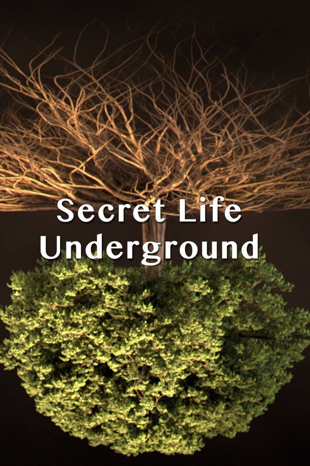 Secret Life Underground | Secret Life Underground