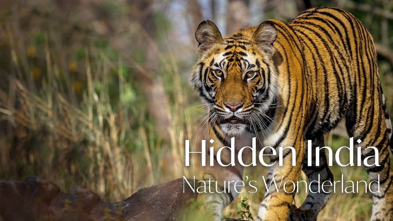 Hidden India|Hidden India