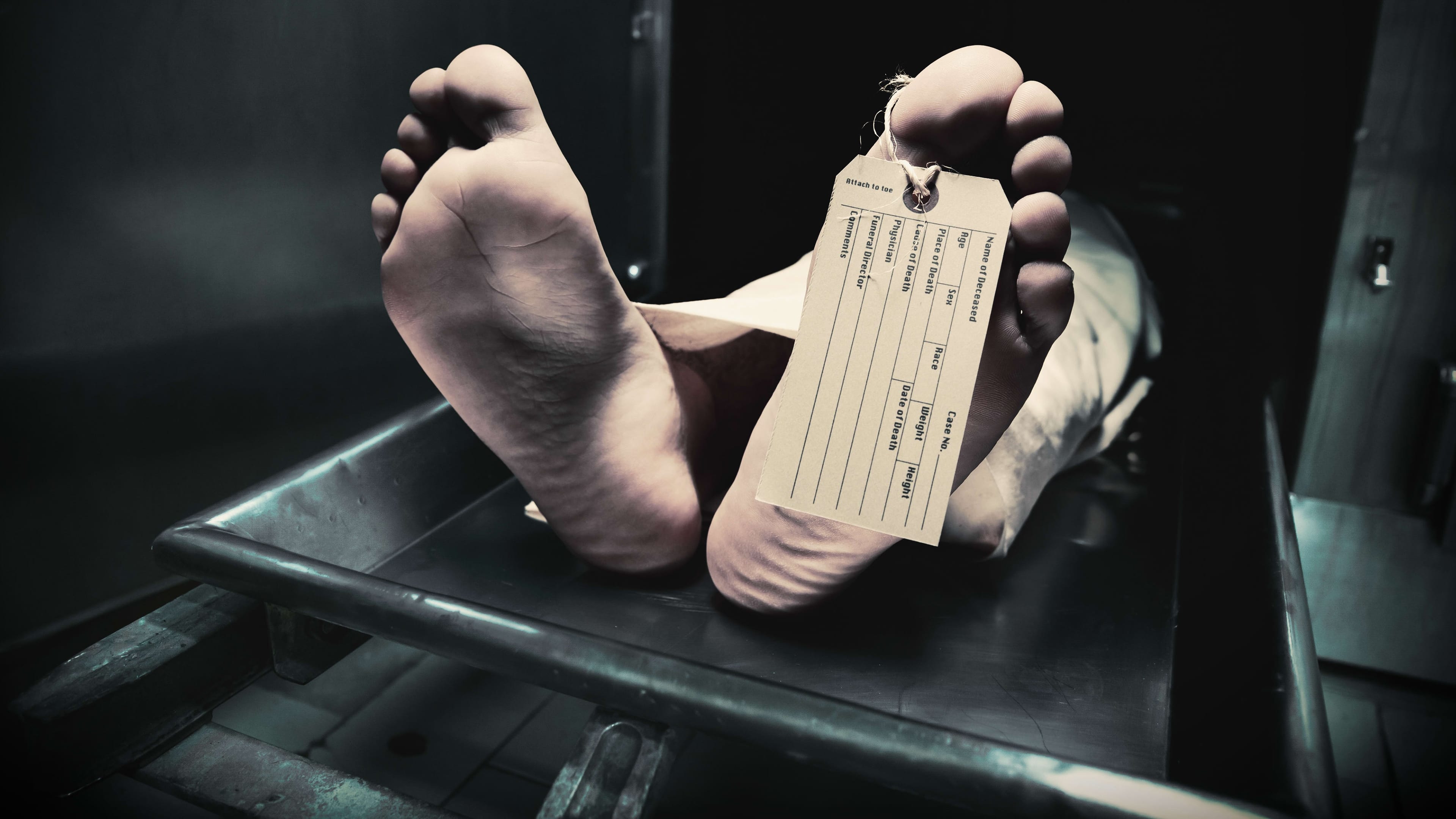 Secrets of the Morgue|Secrets of the Morgue