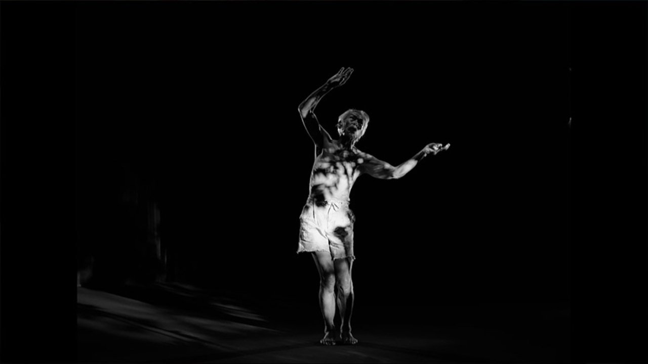 some body comes into the light|some body comes into the light