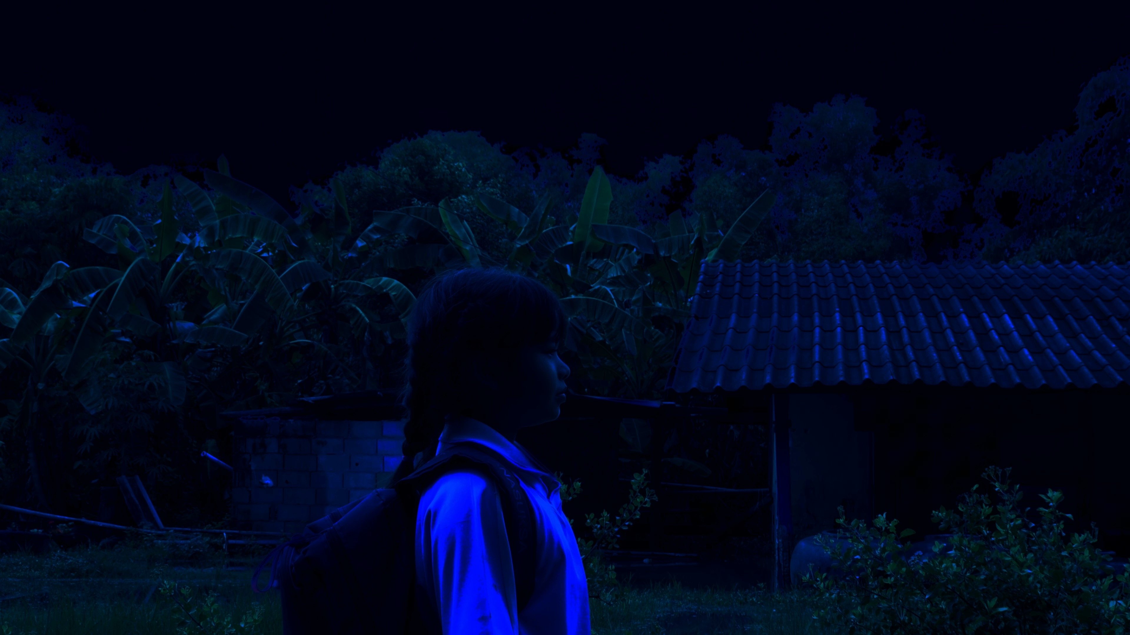 تصویر 2