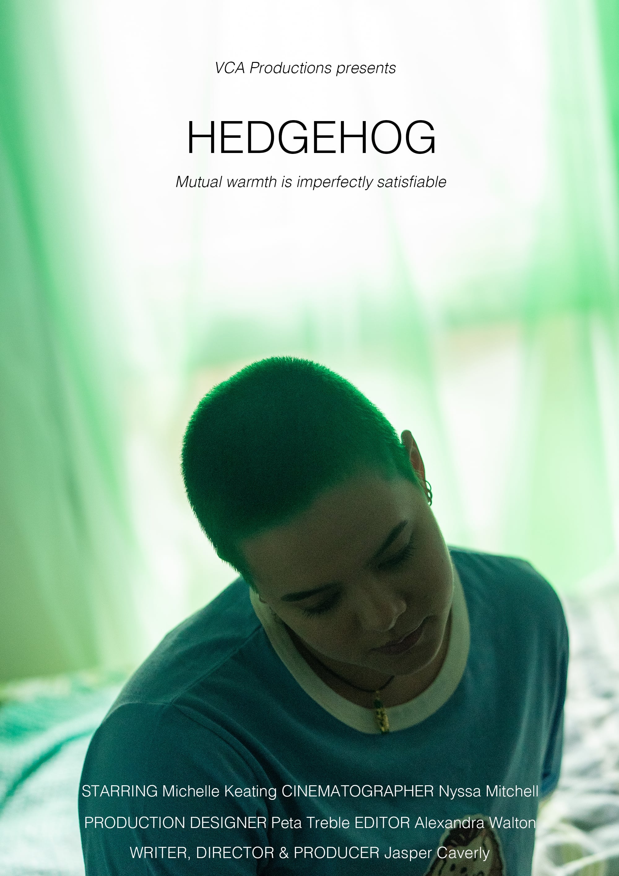 Hedgehog | Hedgehog