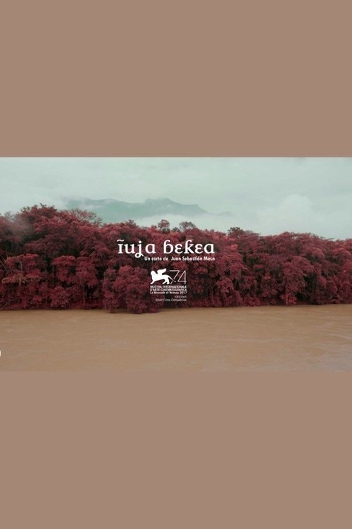 Tierra mojada | Tierra mojada