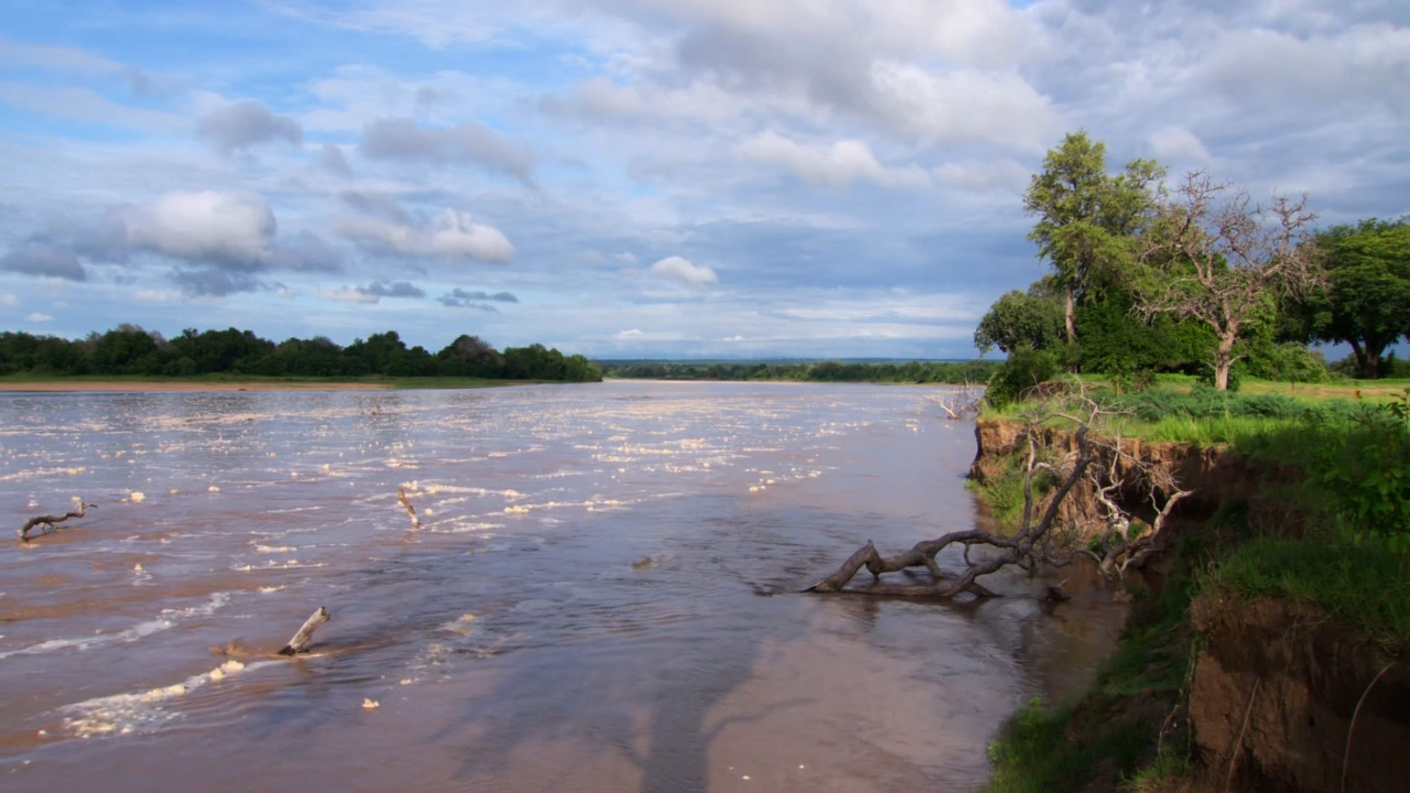 Africa River Wild|Africa River Wild