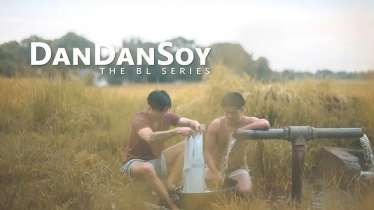DanDanSoy|DanDanSoy