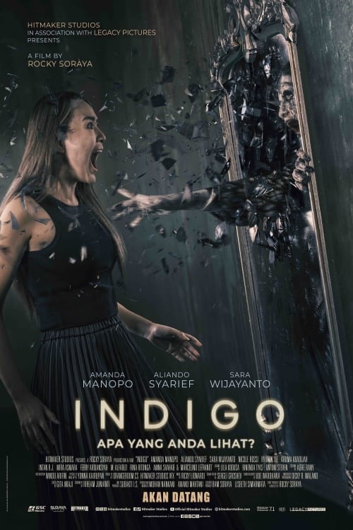 Indigo | Indigo