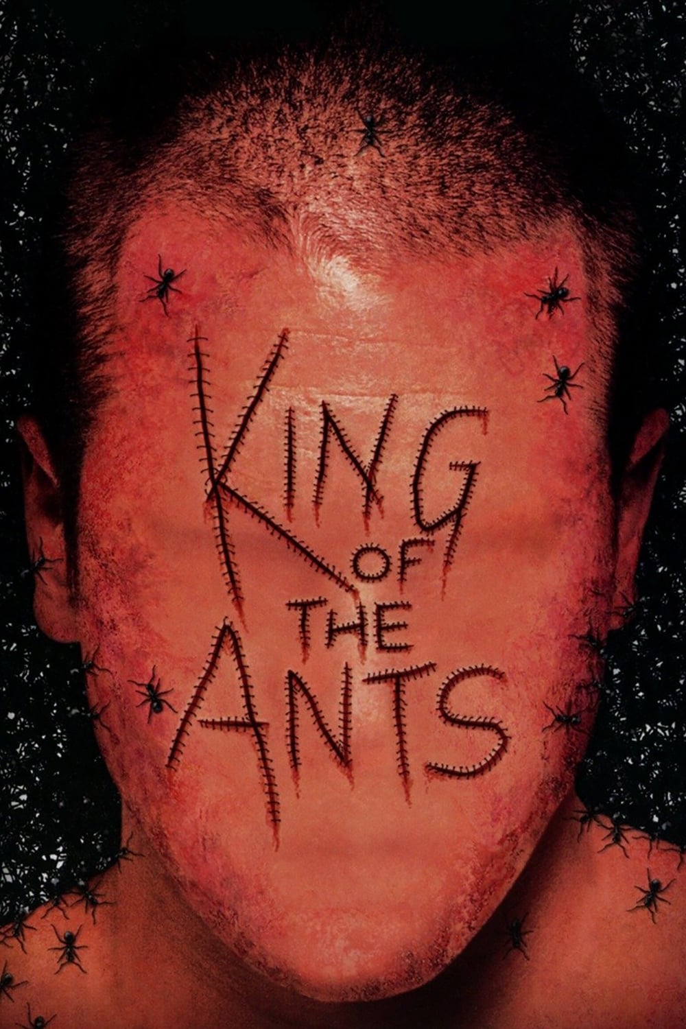 King of the Ants | King of the Ants