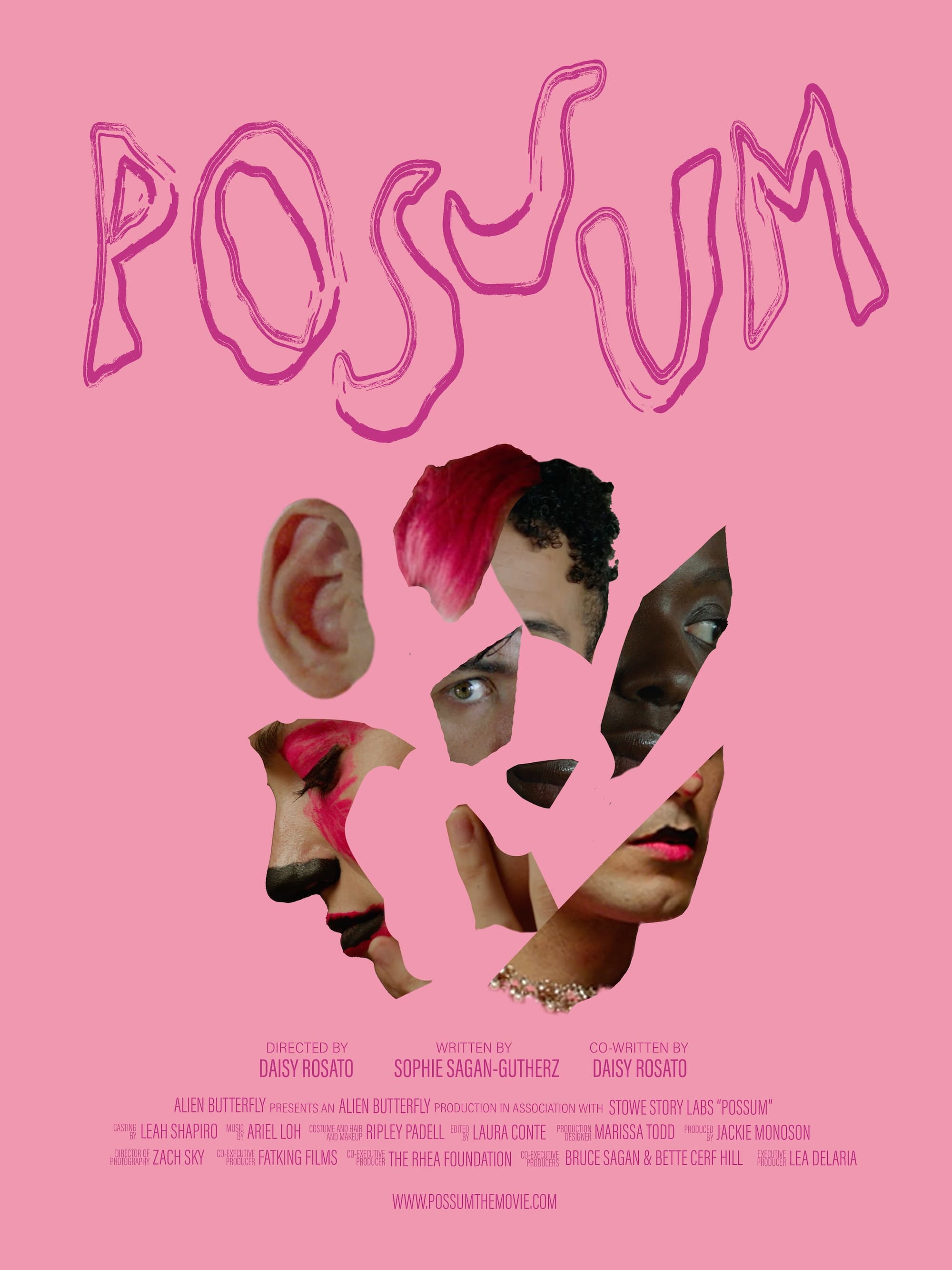 POSSUM | POSSUM