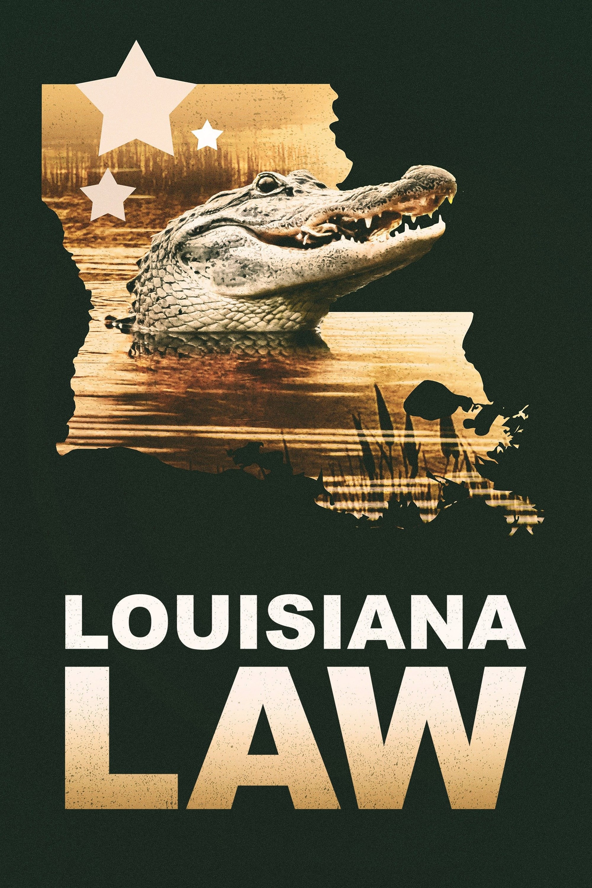 Louisiana Law | Louisiana Law