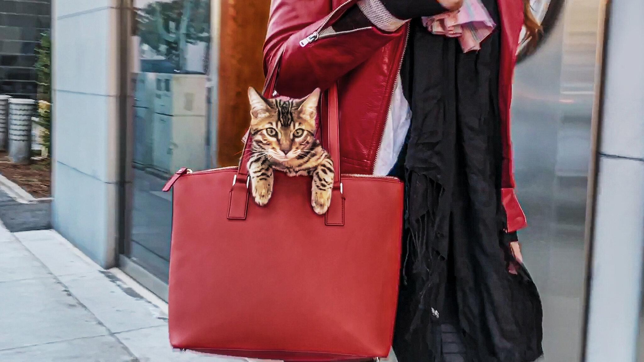 Cat People|Cat People