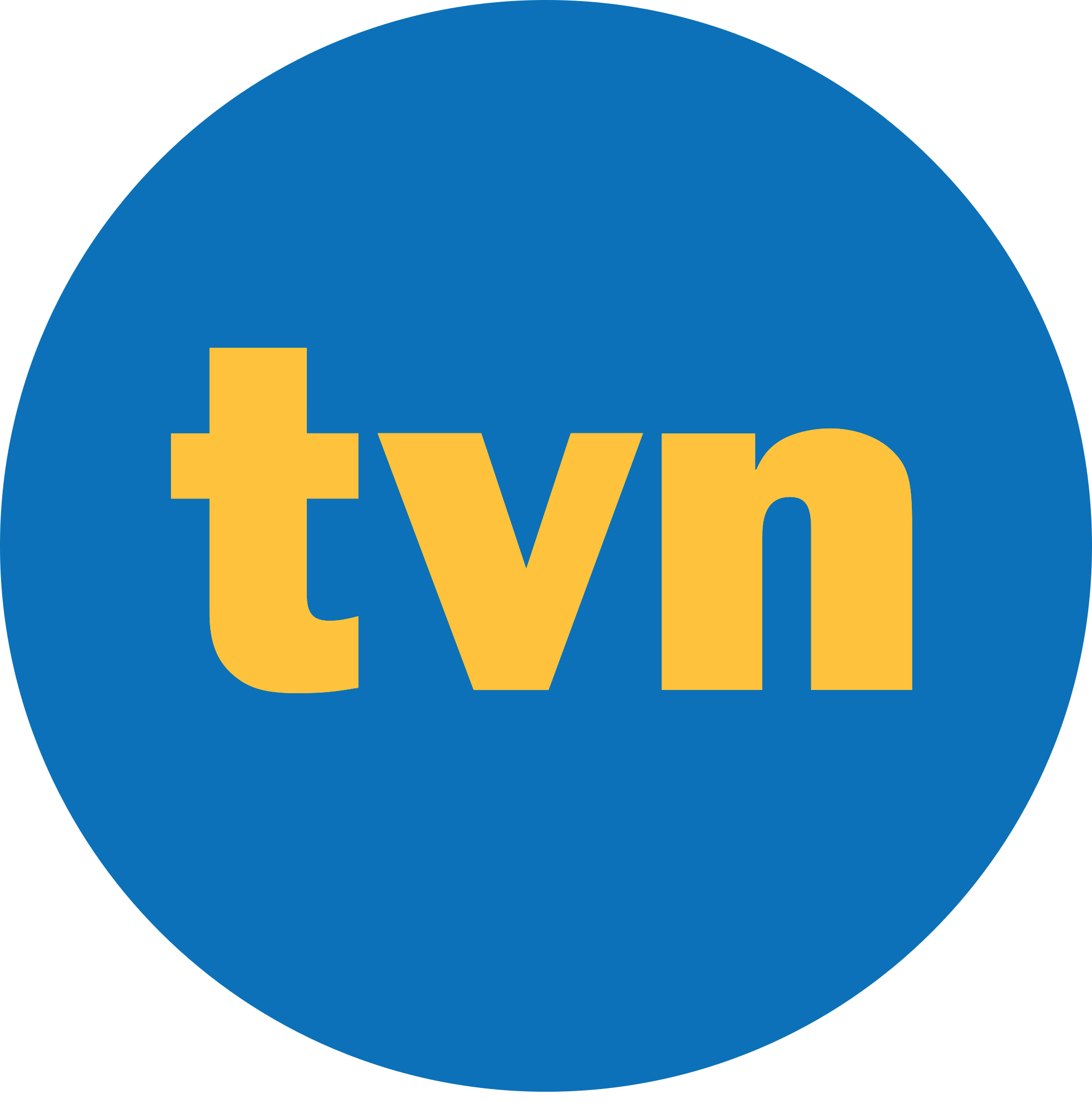 TVN Group