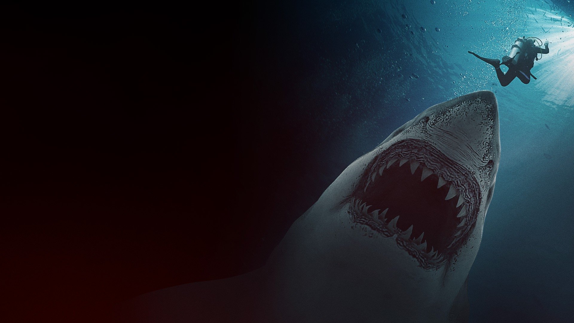 Great White Waters|Great White Waters
