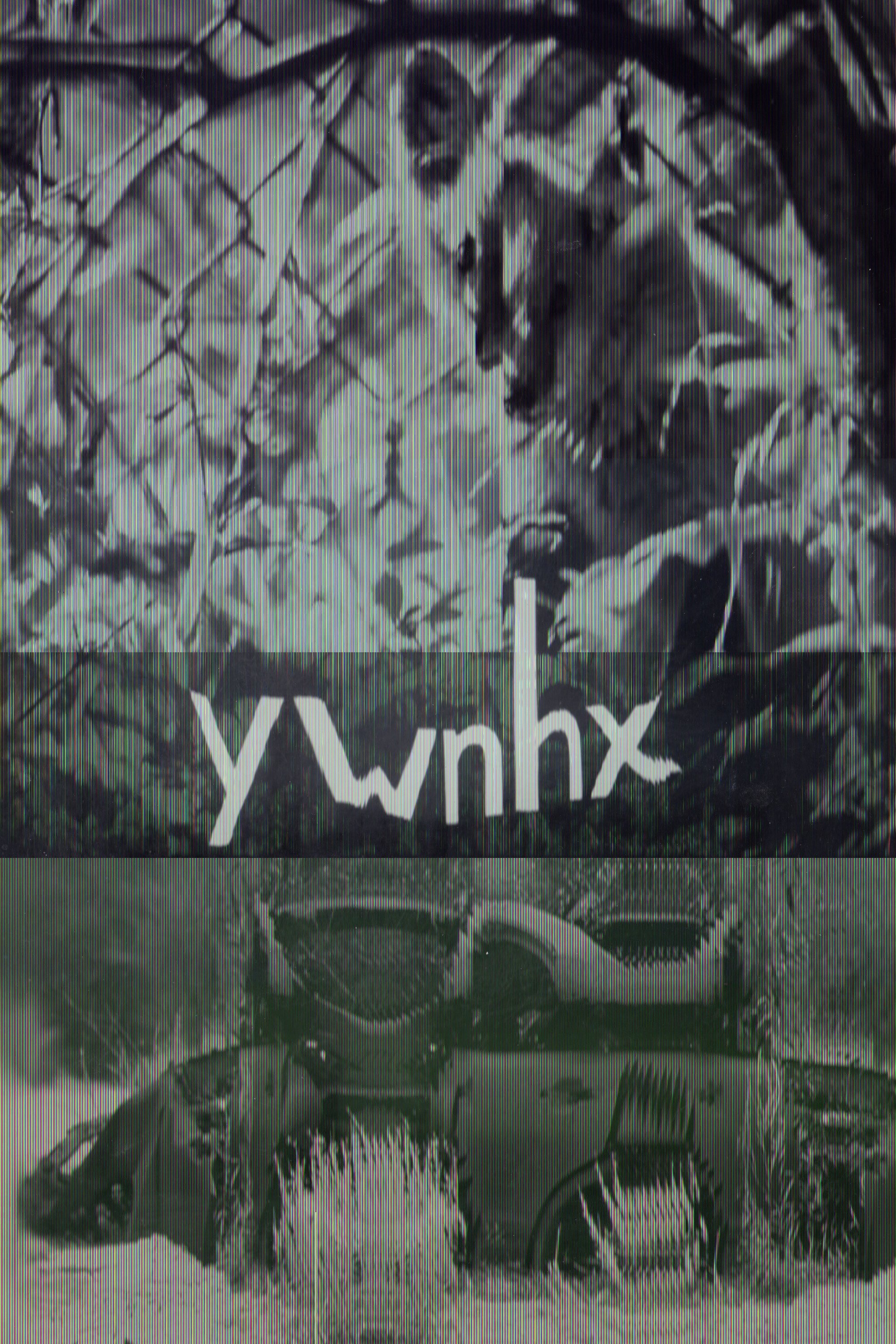 ywnhx | ywnhx