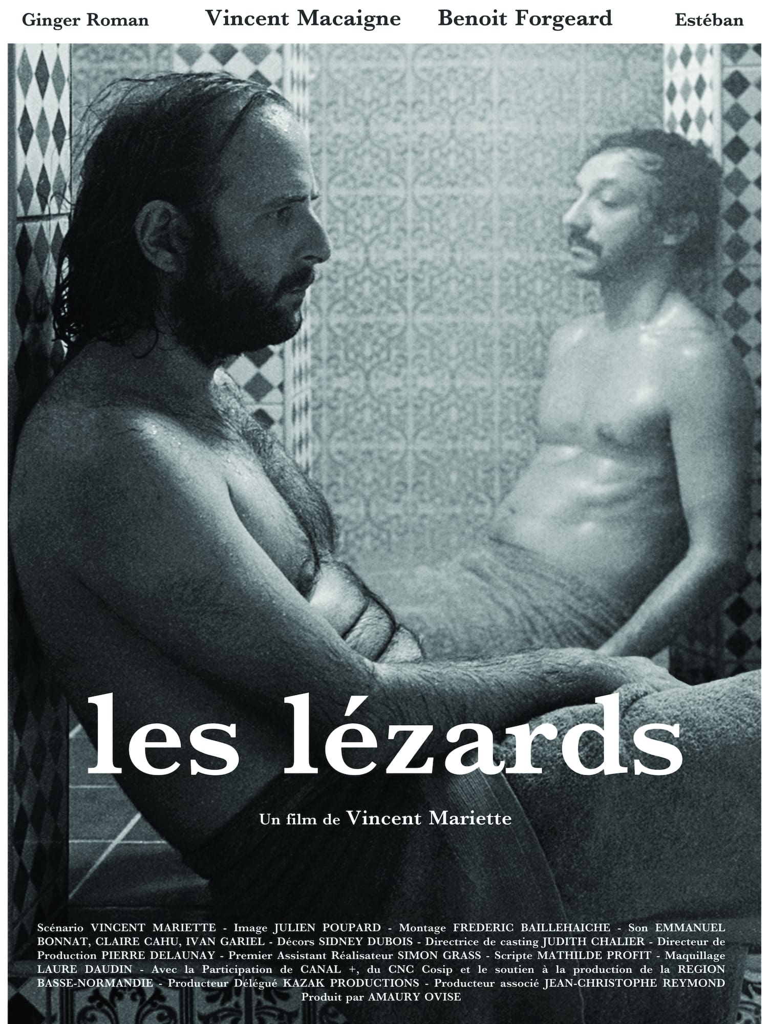 Les lézards | Les lézards