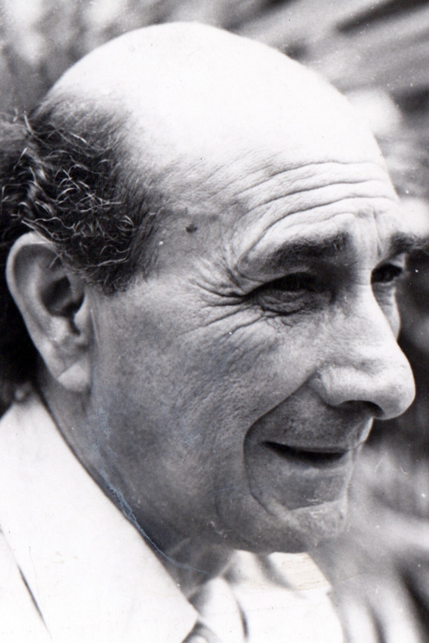 بازیگر Luis Cornejo  