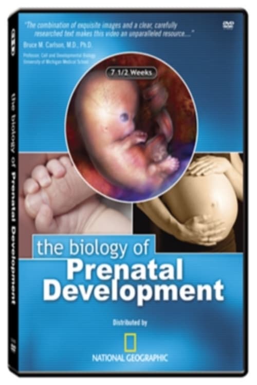 The Biology of Prenatal Development | The Biology of Prenatal Development