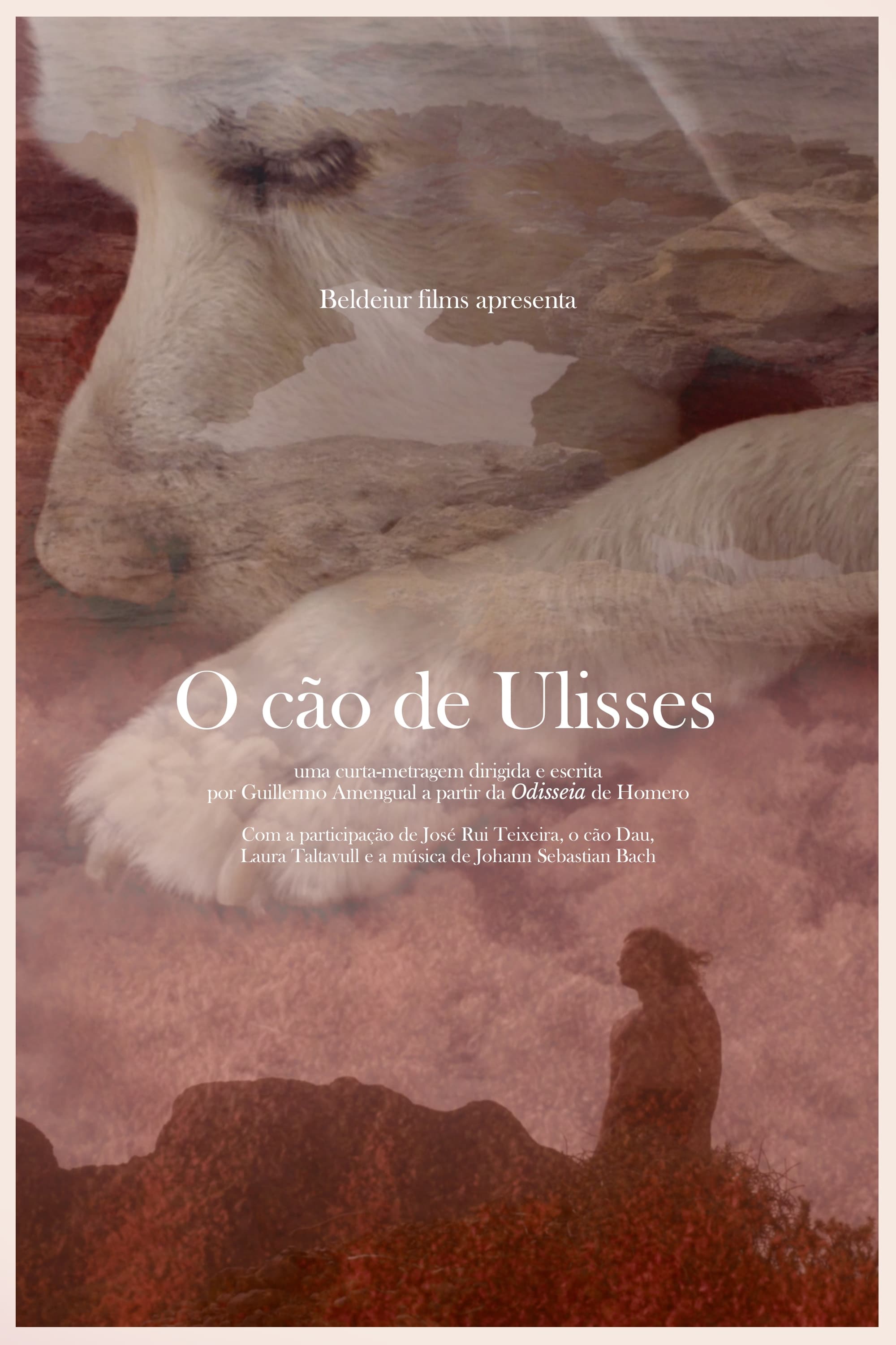 O cão de Ulisses