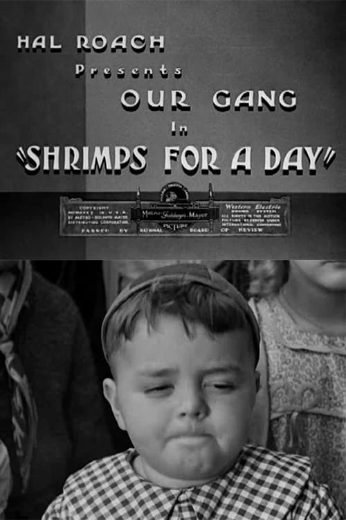 Shrimps for a Day | Shrimps for a Day