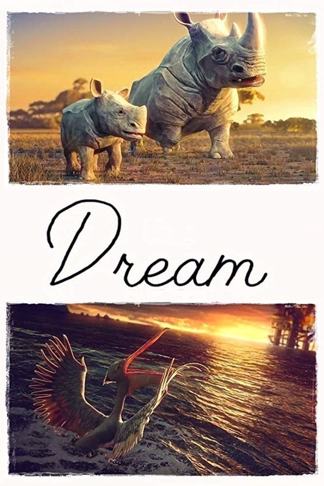 Dream | Dream