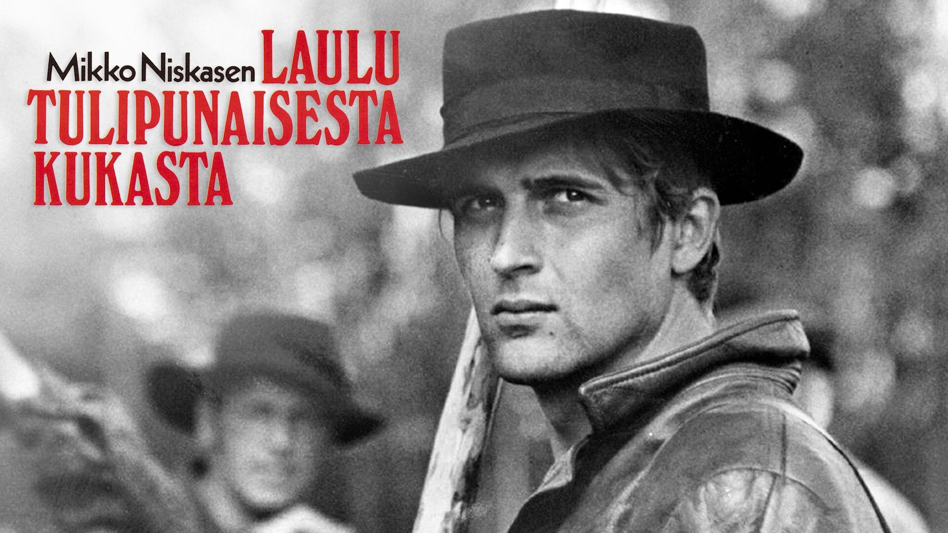 Laulu tulipunaisesta kukasta|Laulu tulipunaisesta kukasta