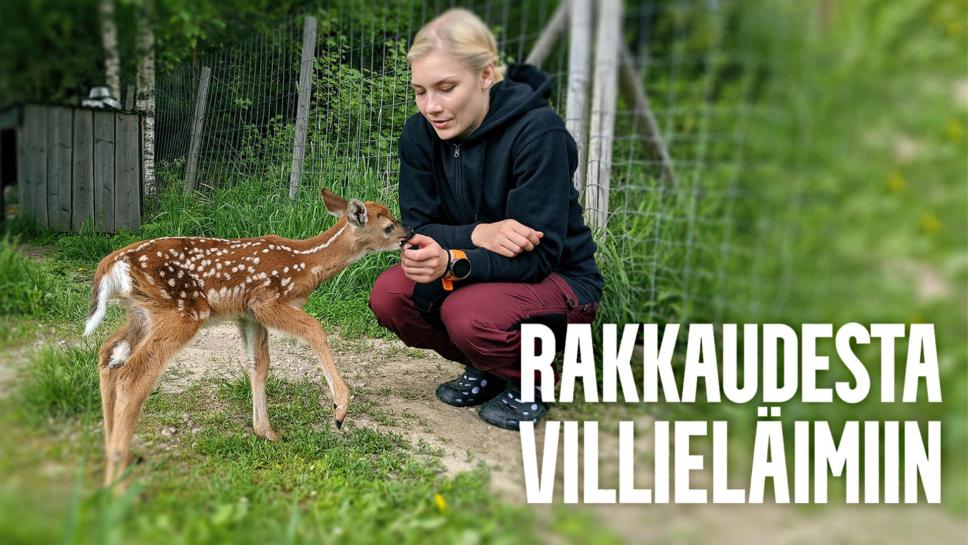 Rakkaudesta villieläimiin|Rakkaudesta villieläimiin