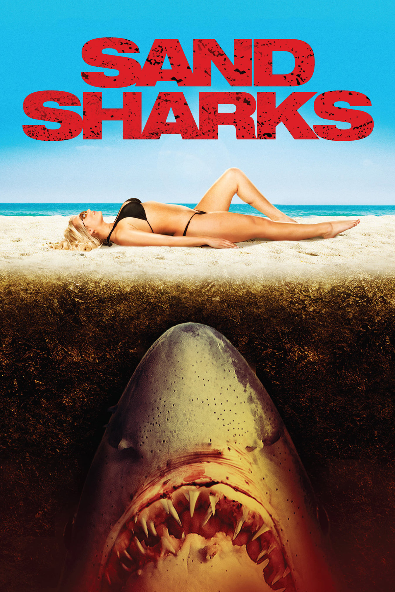 Sand Sharks | Sand Sharks