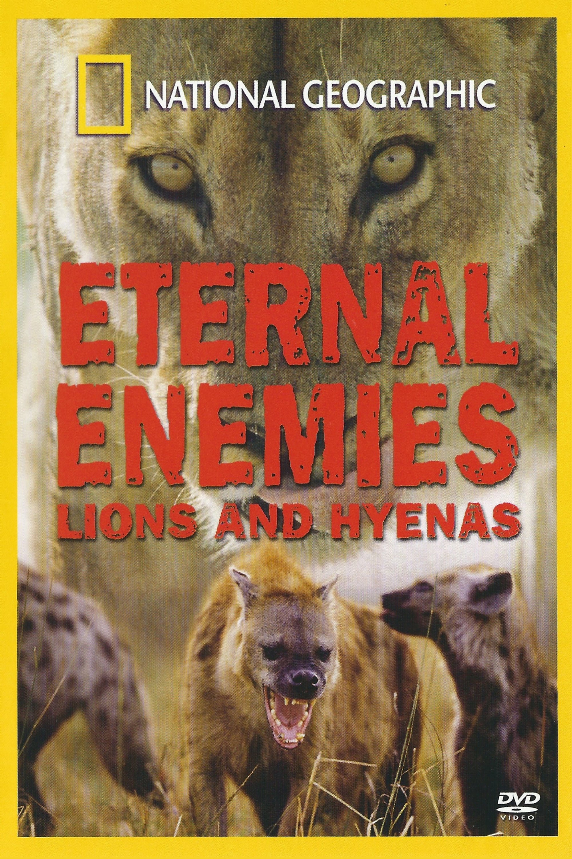 Eternal Enemies: Lions and Hyenas | Eternal Enemies: Lions and Hyenas