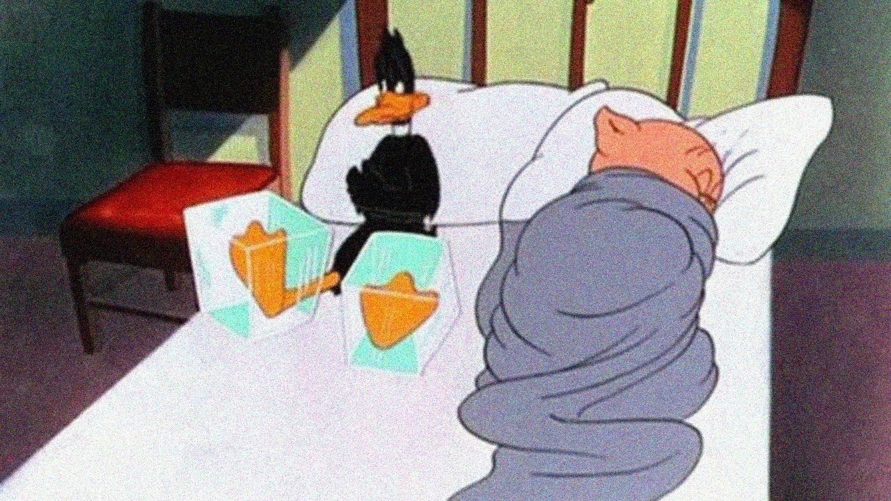 Daffy Duck Slept Here|Daffy Duck Slept Here