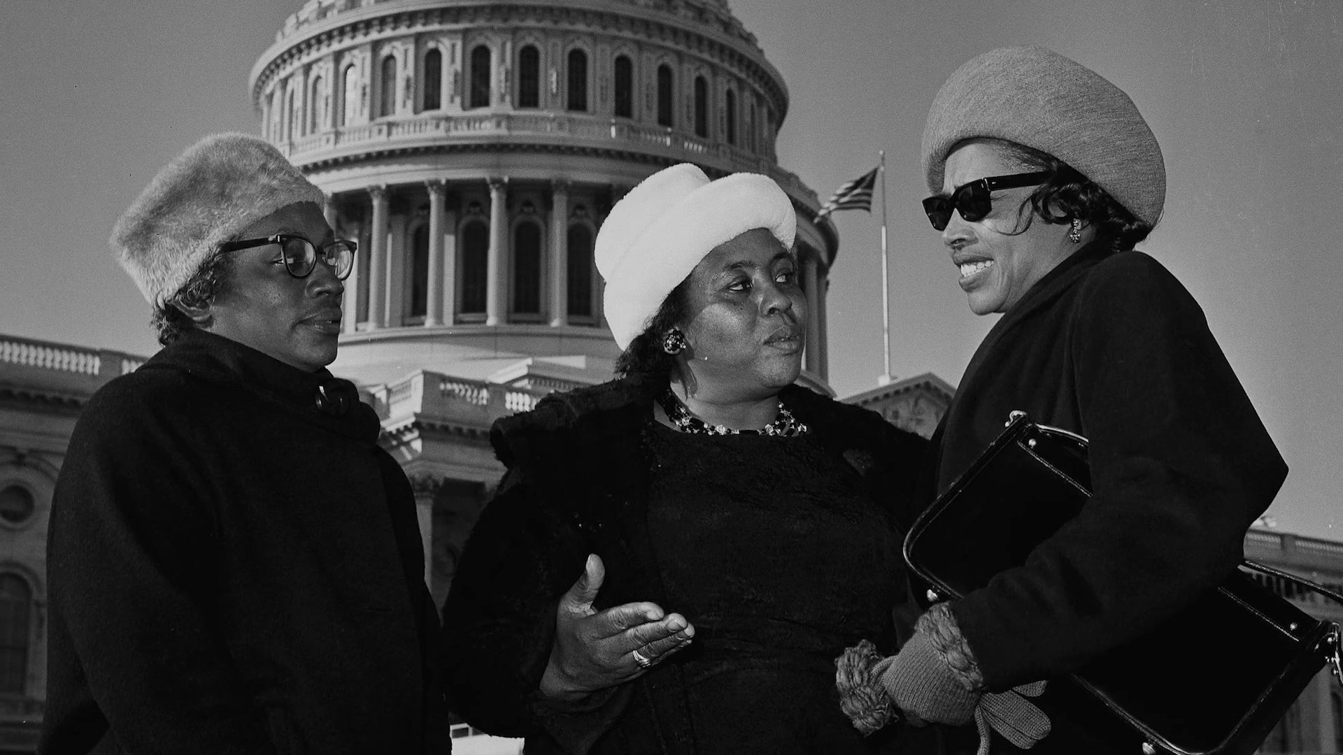 Fannie Lou Hamer’s America|Fannie Lou Hamer’s America