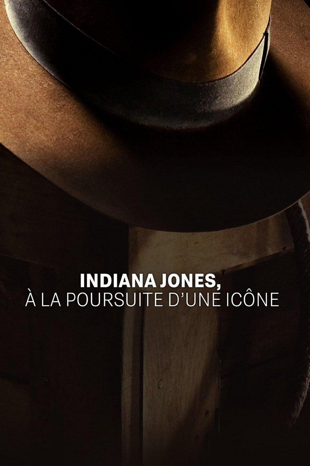 Indiana Jones : à la poursuite d’une icône | Indiana Jones : à la poursuite d’une icône
