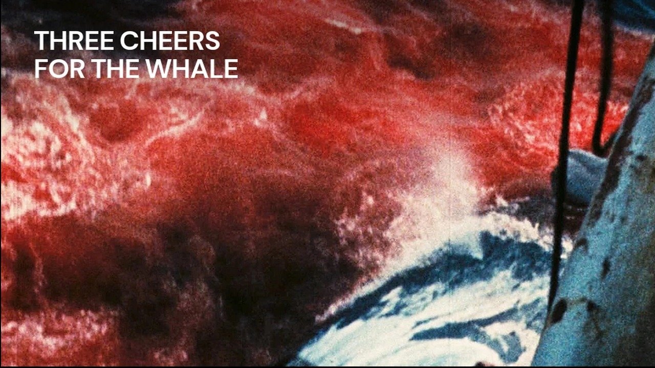 Vive la baleine|Vive la baleine
