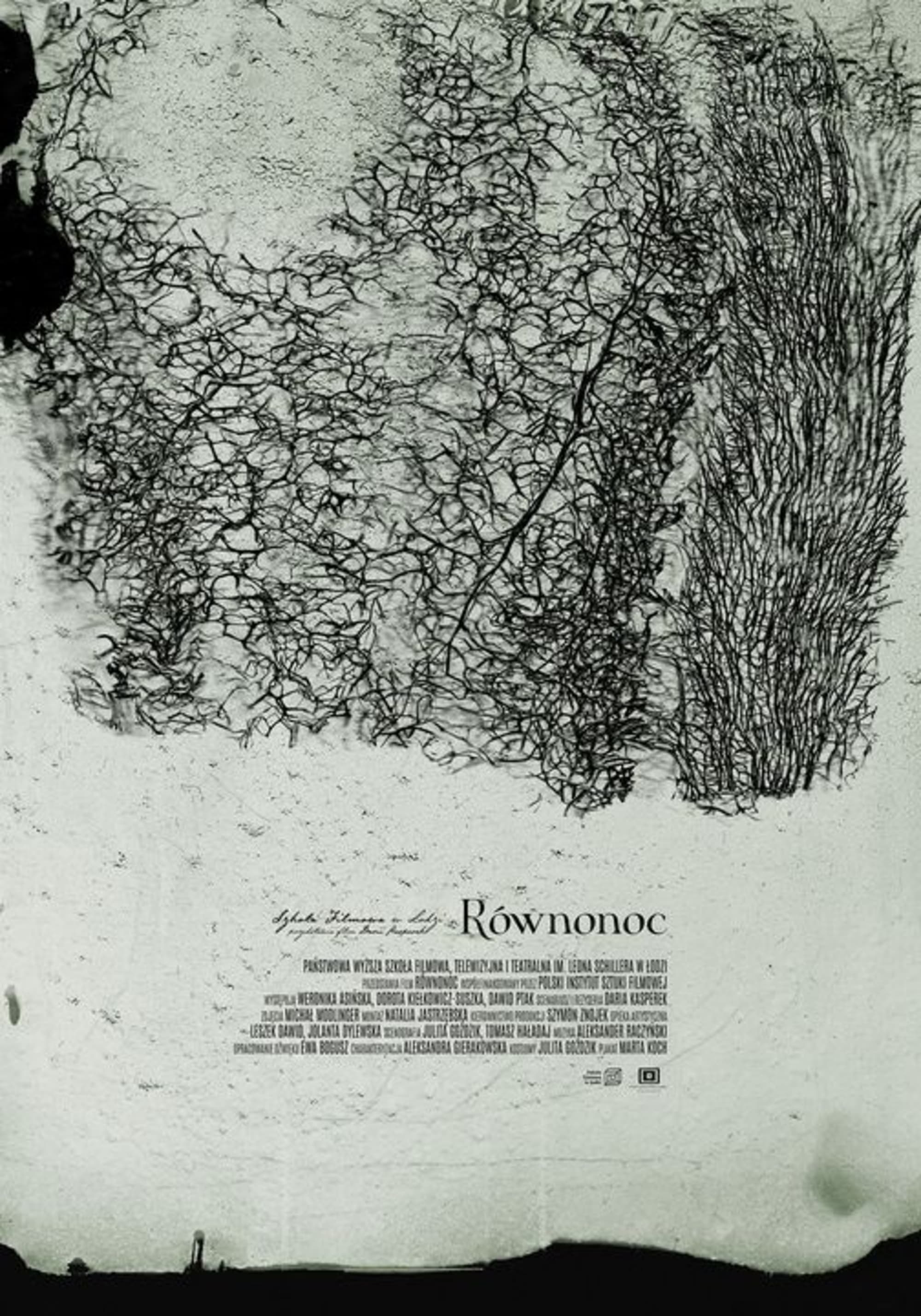 Równonoc | Równonoc