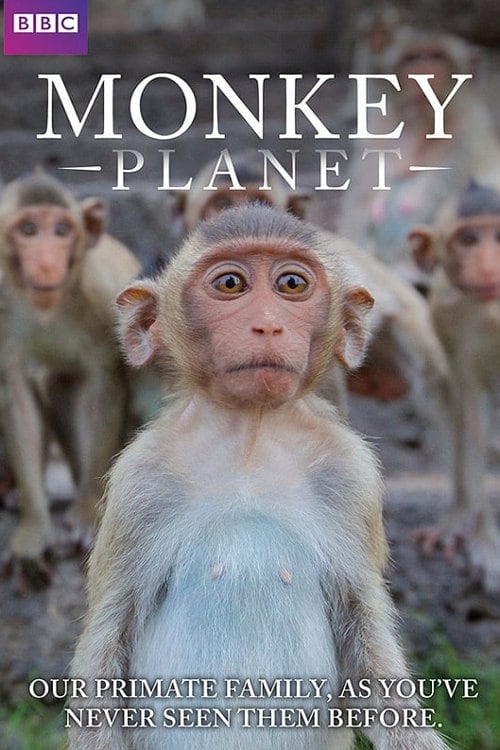 Monkey Planet | Monkey Planet