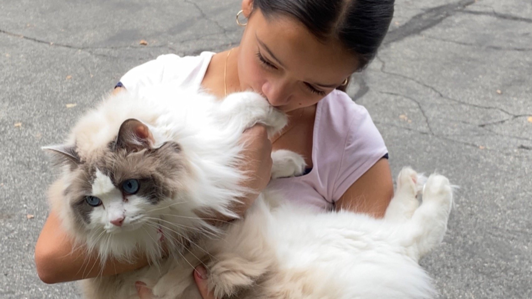 Where Is The Cat's Tail?|Where Is The Cat's Tail?