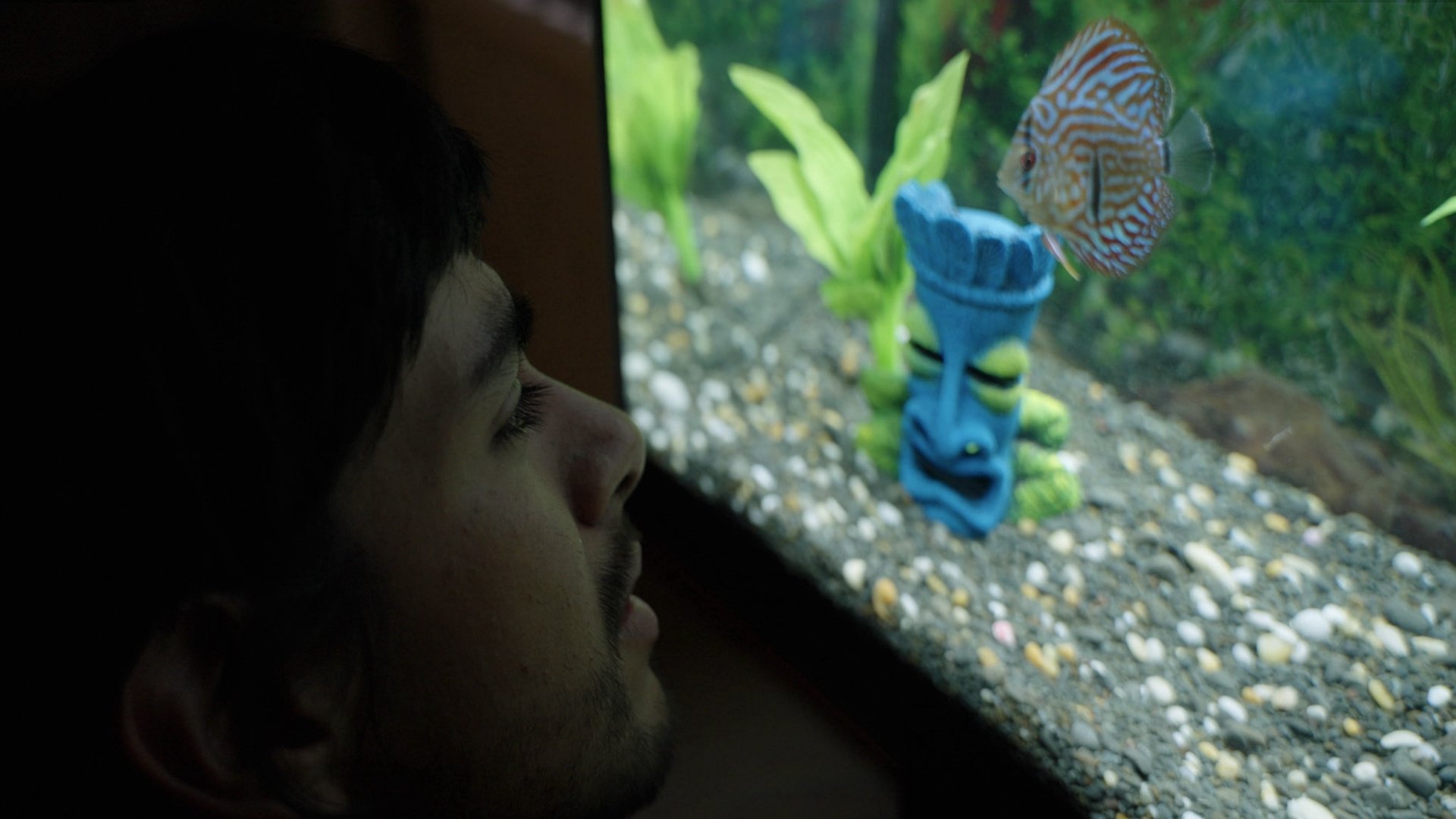 Notes from a Fish|Notes from a Fish