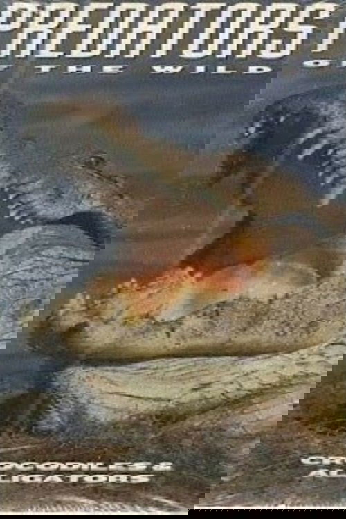 Predators of the Wild: Crocodiles and Alligators