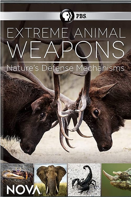 Extreme Animal Weapons | Extreme Animal Weapons